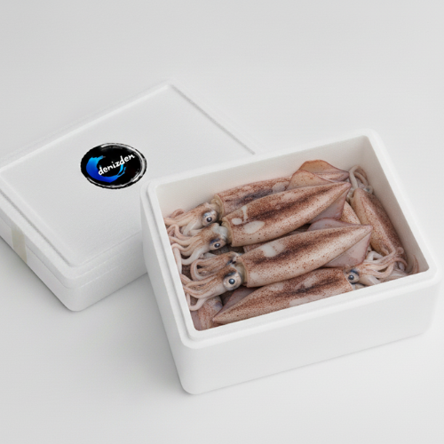 Adsız tasarım - 2025-11-14T144256.047 SÜBYE