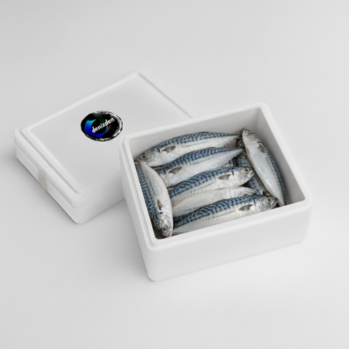 Adsız tasarım - 2025-11-14T171730.388 Torik