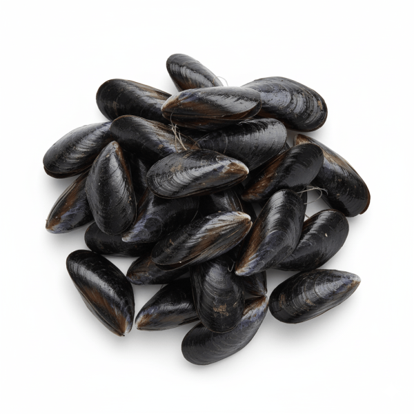 Generated Image November 14, 2025 - 3_01AM çiftlik midyesi